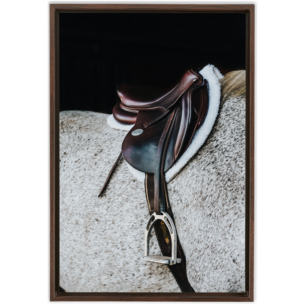 Apollo Series 3, Framed Canvas