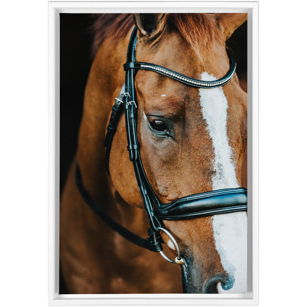 Hudson Series 3, Framed Canvas