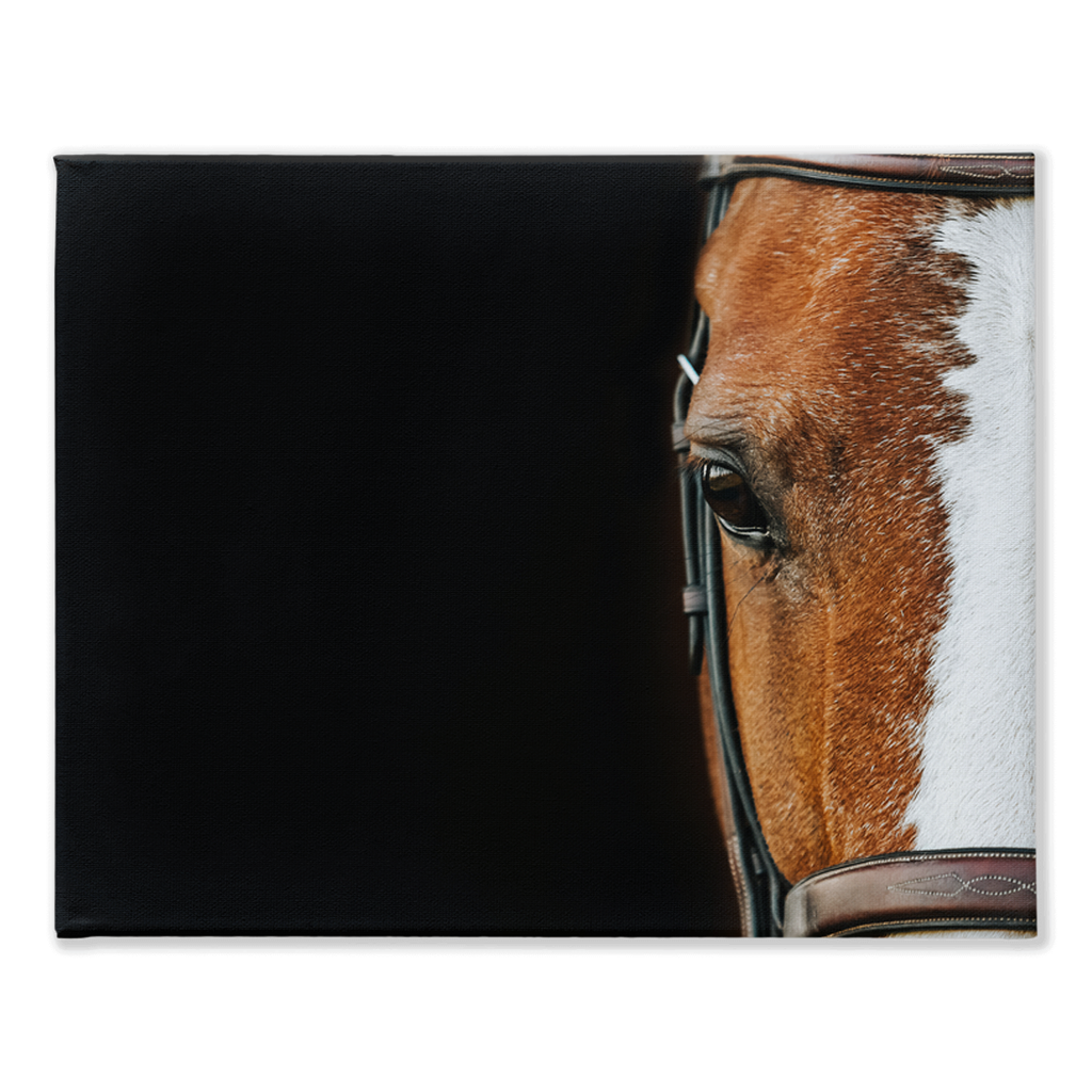 Huntsman Series 5, Stretched Canvas