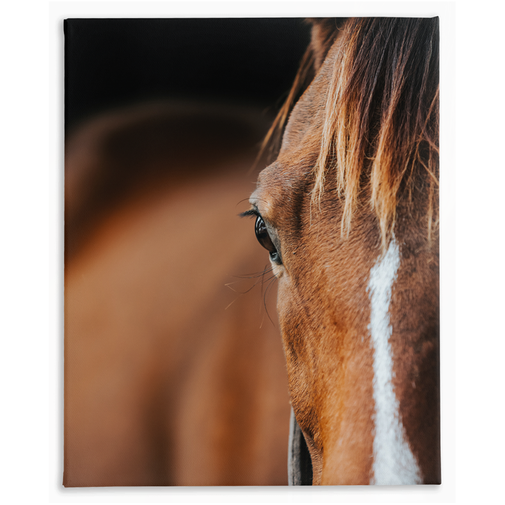 Majestic 1, Stretched Canvas