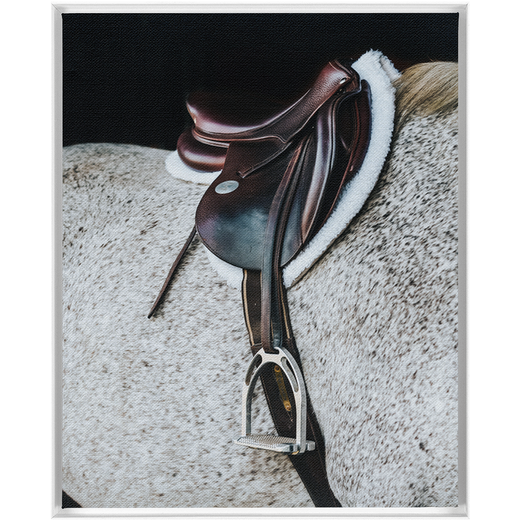 Apollo Series 3, Framed Canvas