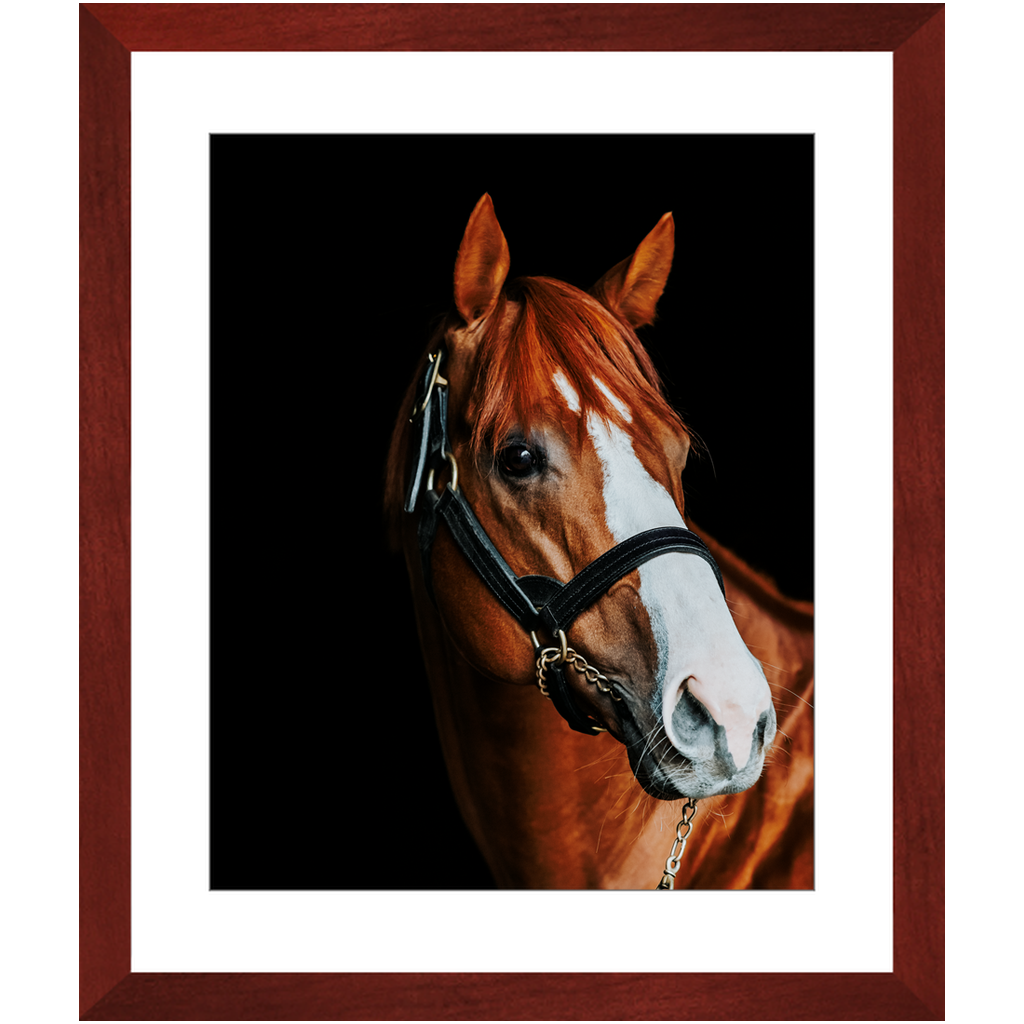 Justify Series 2, Framed Print