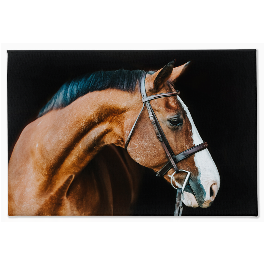Huntsman Series 3, Canvas