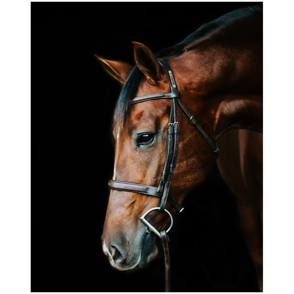 Monterey Series 4, Print