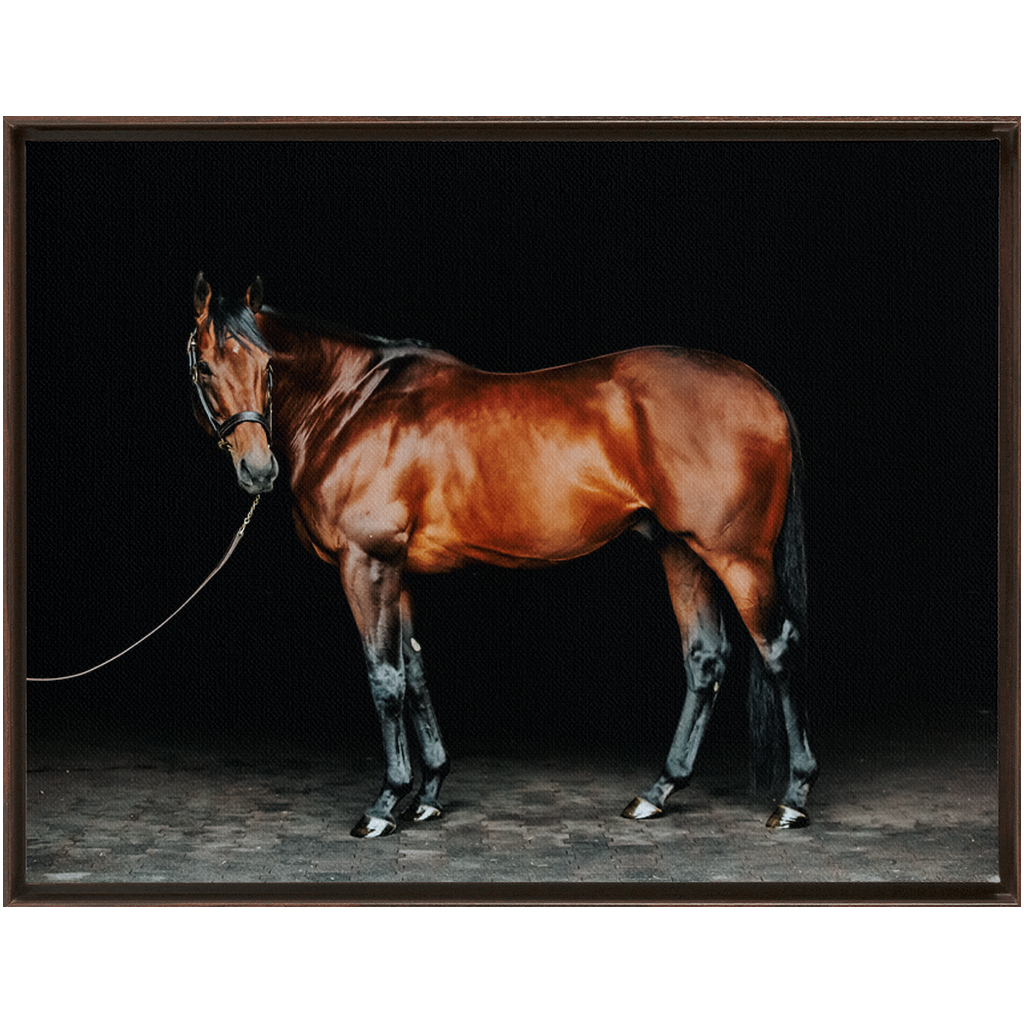 American Pharoah Series 1, Framed Canvas