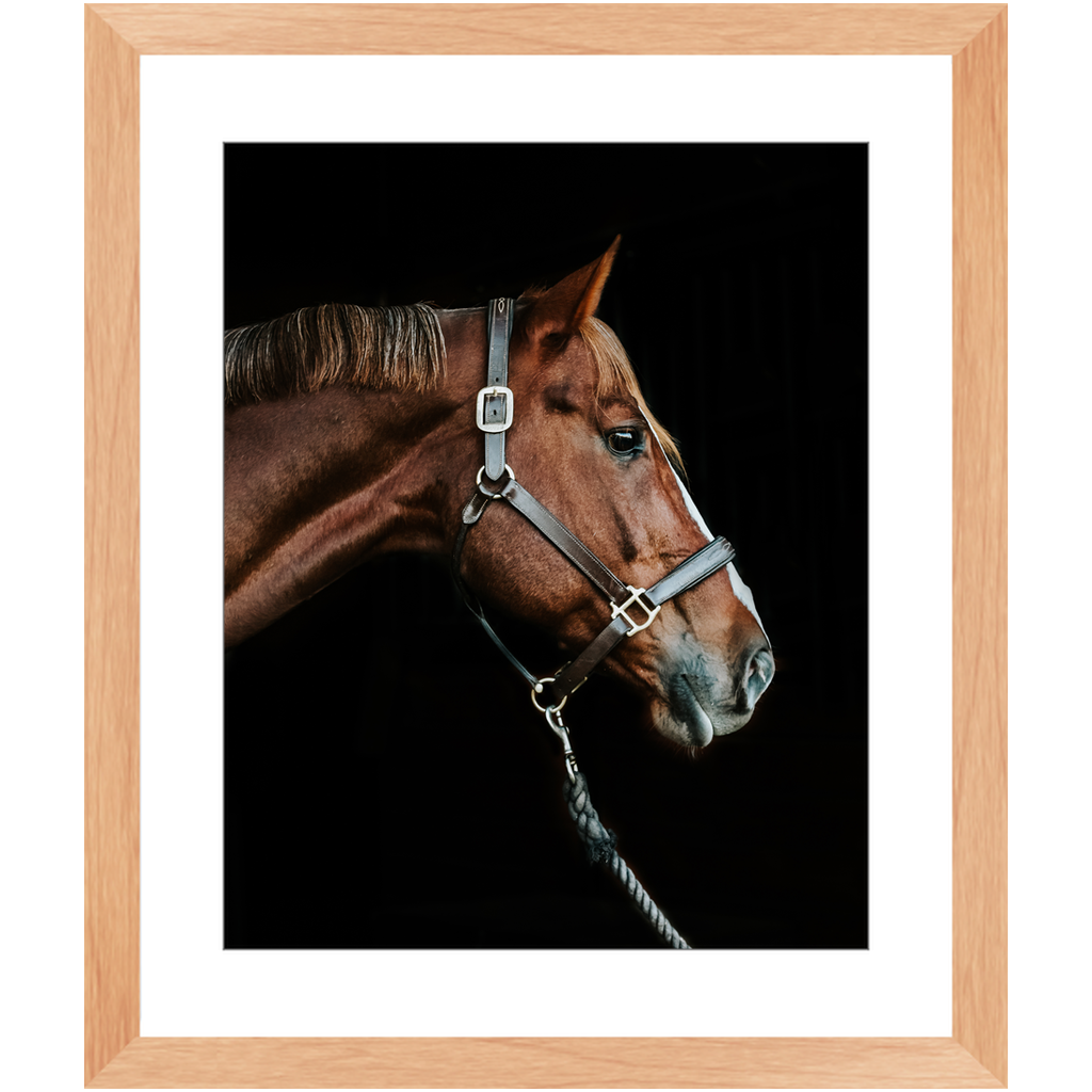 Django Series 3, Framed Print