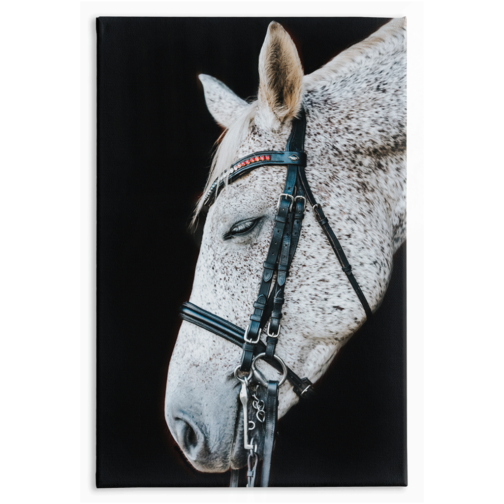 Apollo Series 1, Stretched Canvas