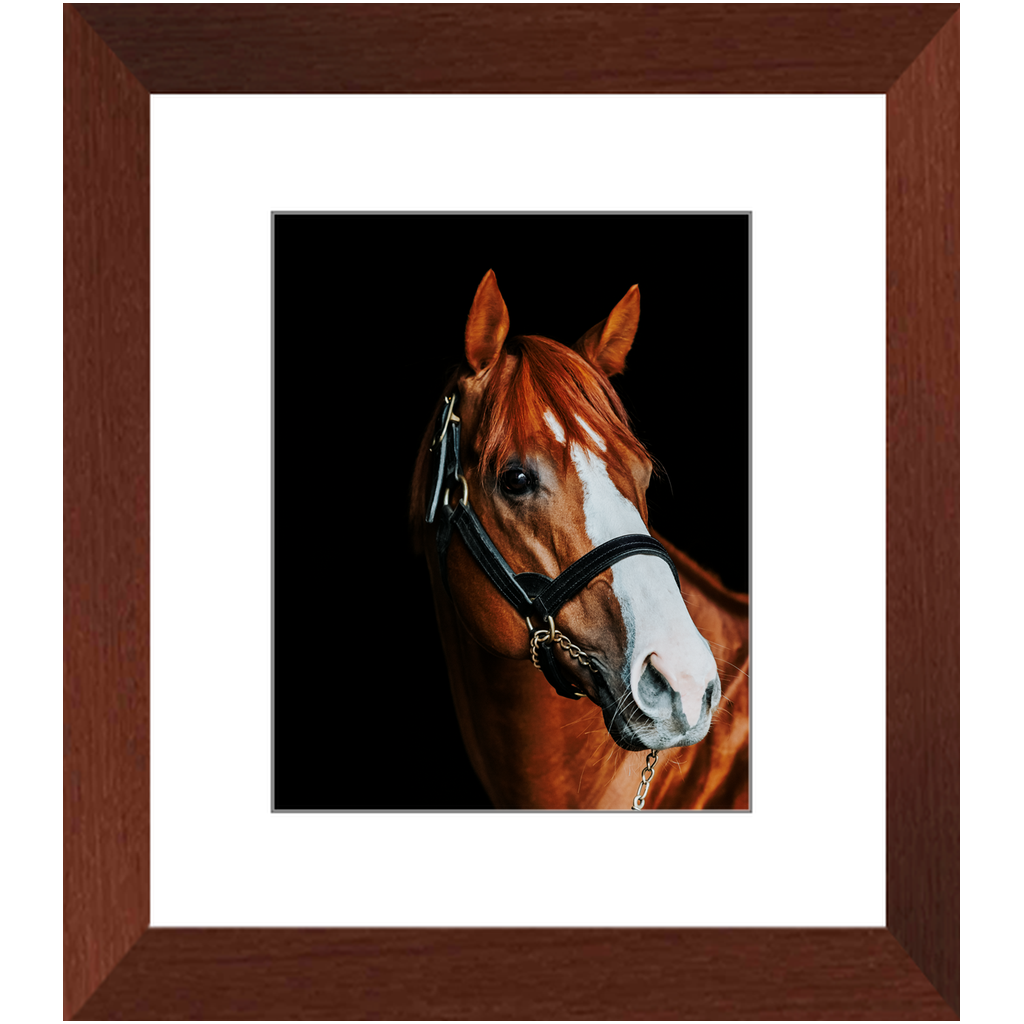Justify Series 2, Framed Print
