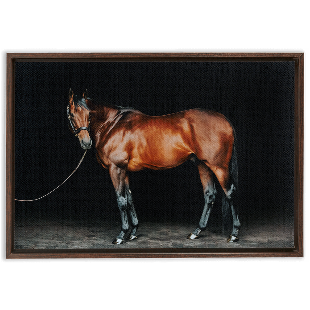 American Pharoah Series 1, Framed Canvas