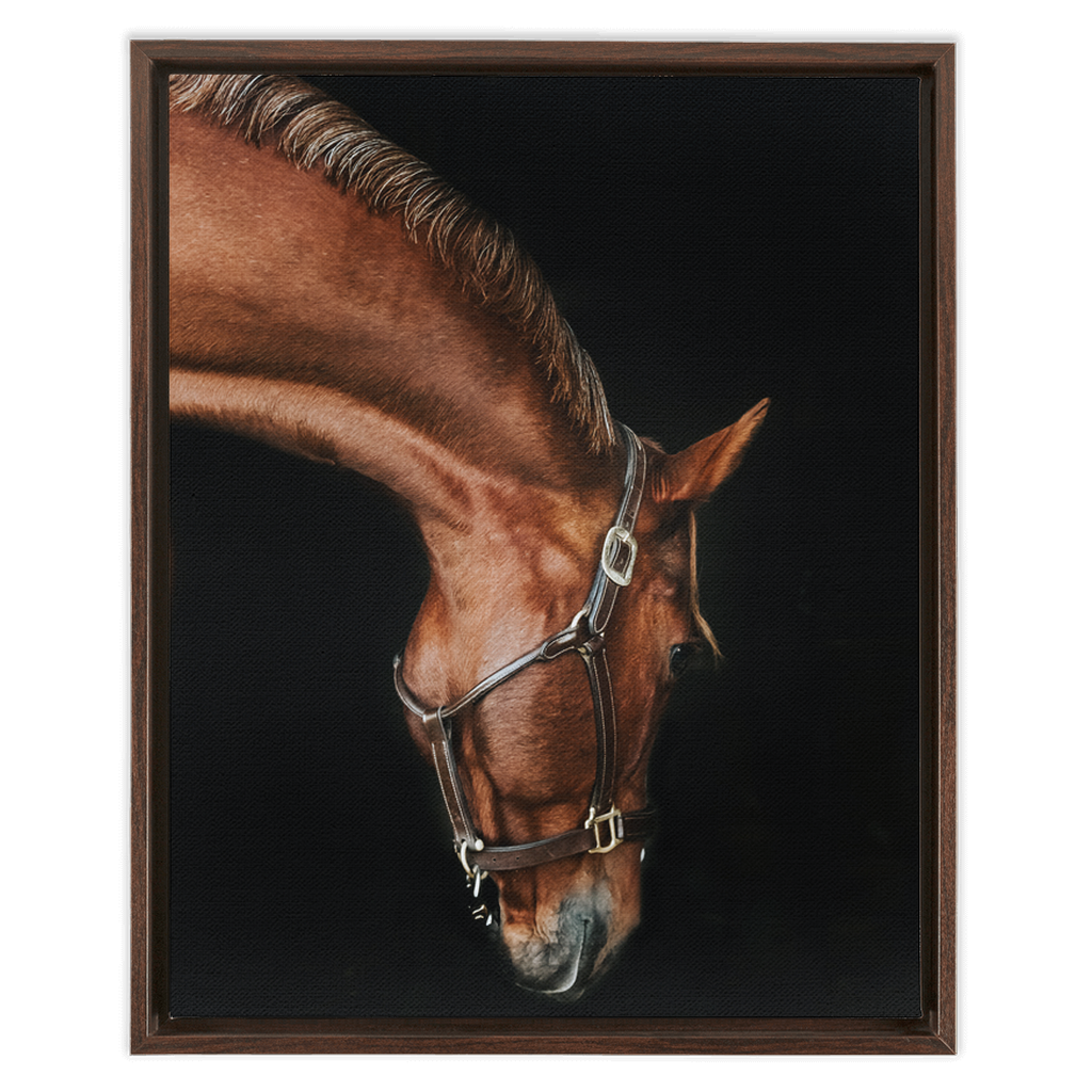 Django Series 6, Framed Canvas