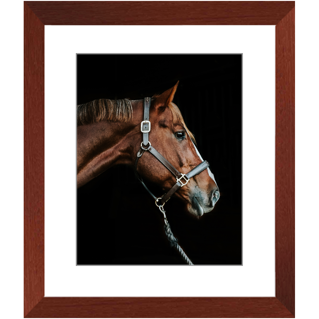 Django Series 3, Framed Print