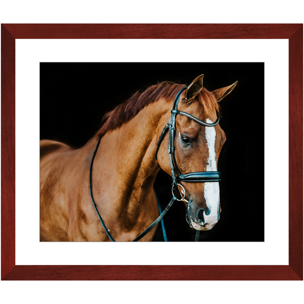 Hudson Series 1, Framed Print