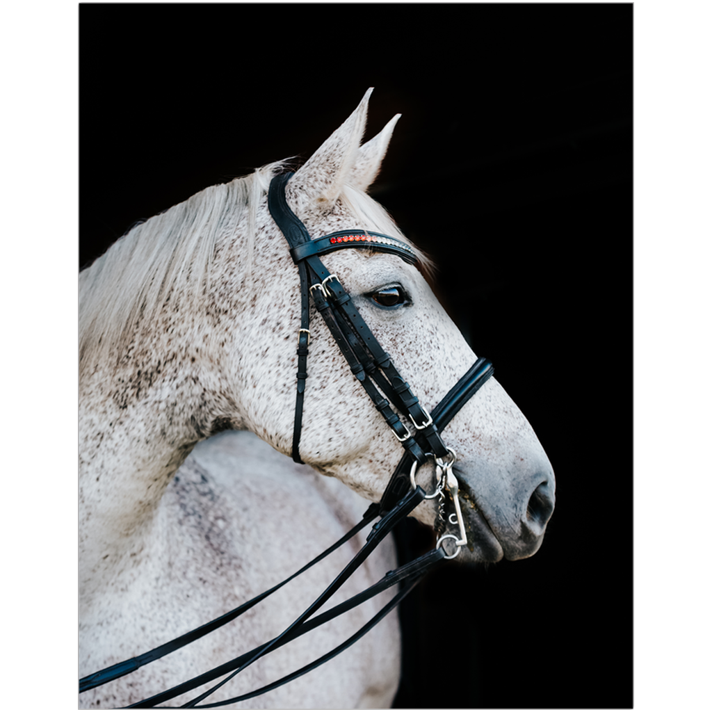 Apollo Series 2, Print