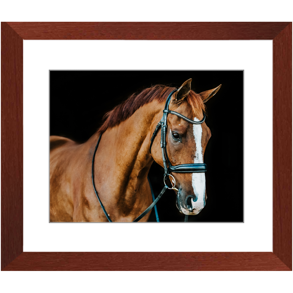 Hudson Series 1, Framed Print