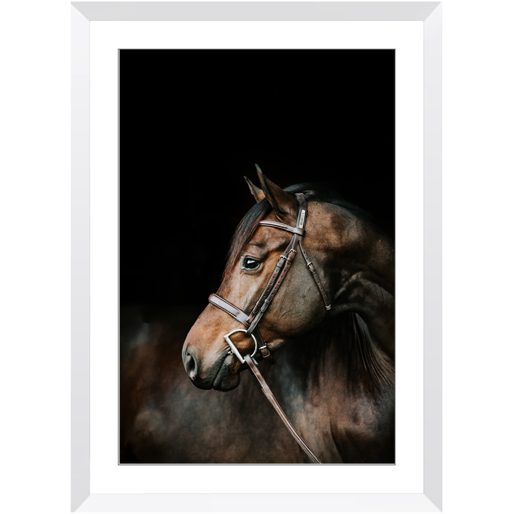 Jovial Series 3, Framed Print