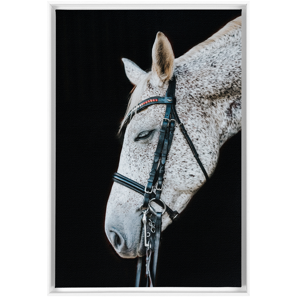 Apollo Series 1, Framed Canvas