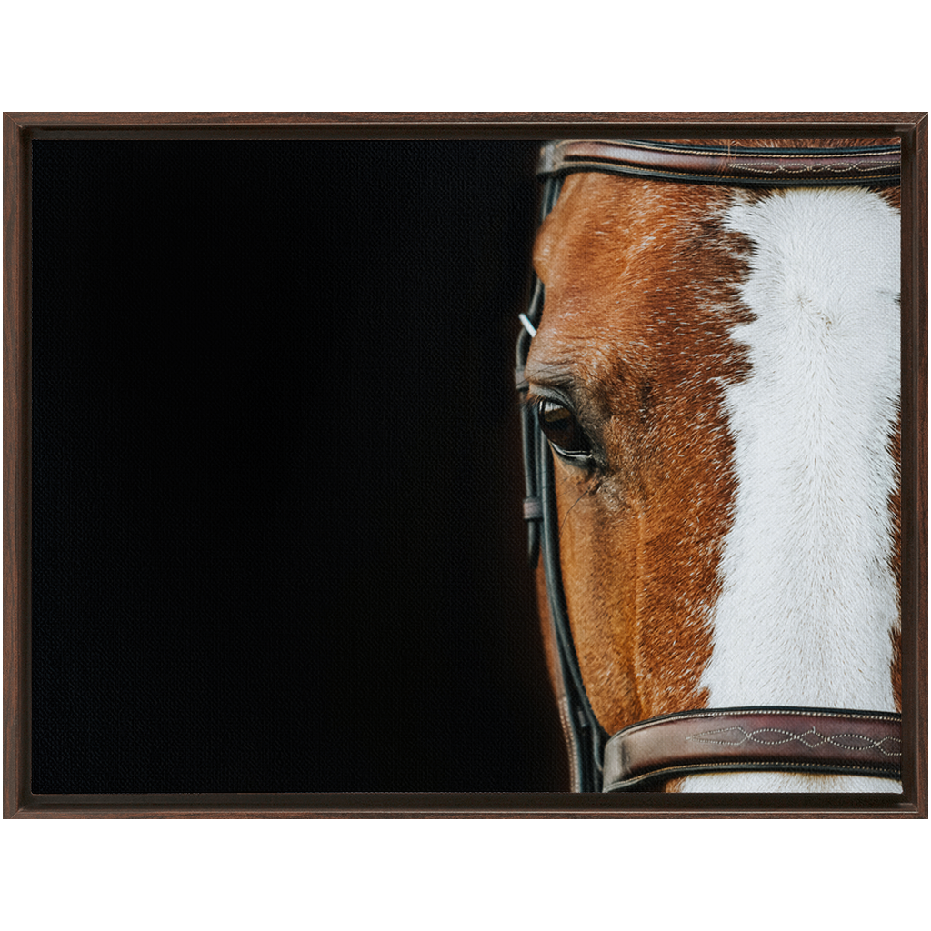 Huntsman Series 5, Framed Canvas