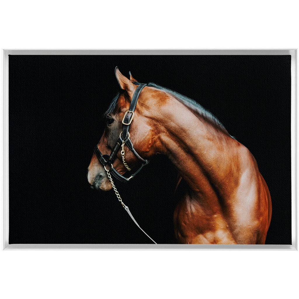 American Pharoah Series 5, Framed Canvas