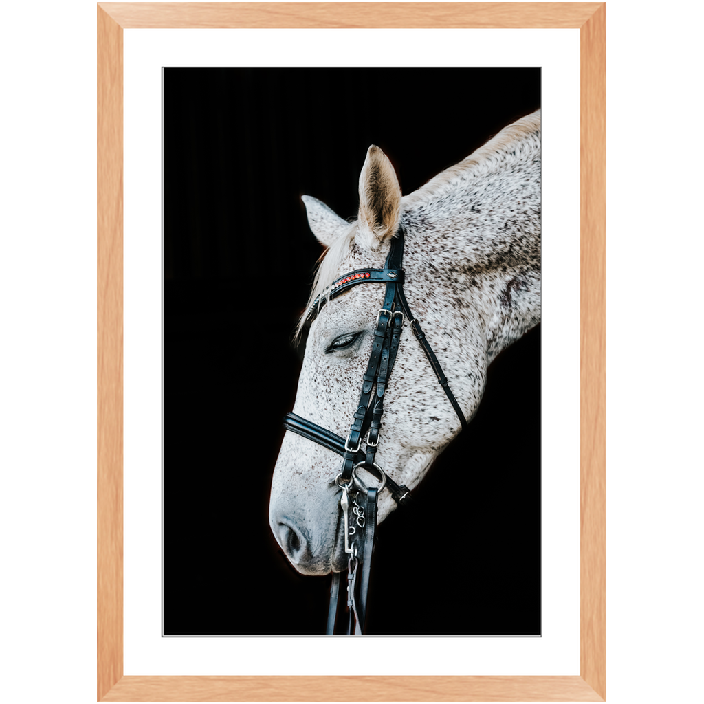 Apollo Series 2, Framed Print