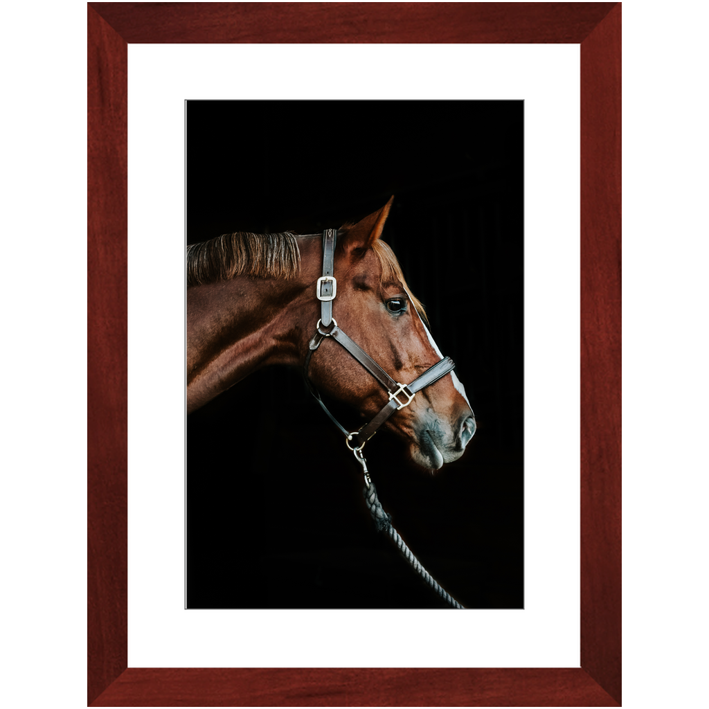 Django Series 3, Framed Print