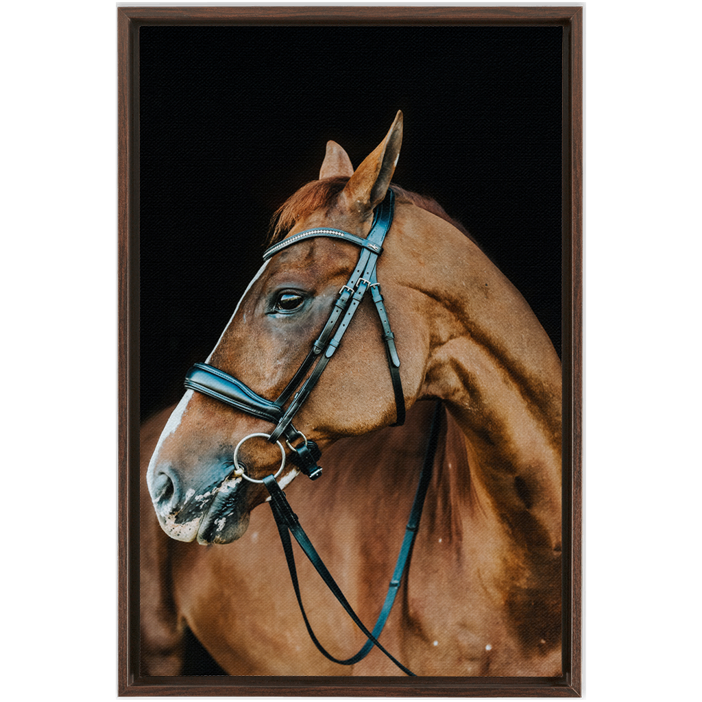 Hudson Series 6, Framed Canvas