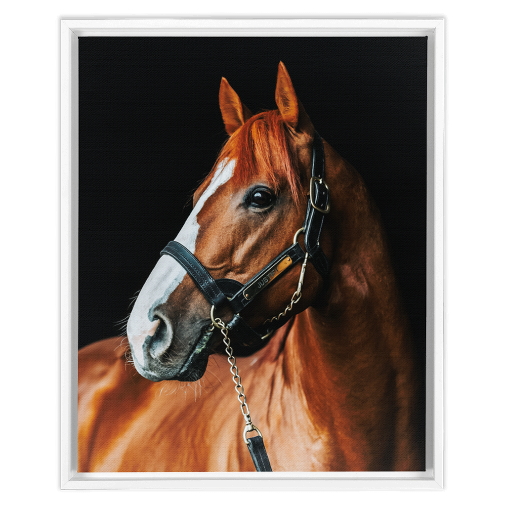Justify Series 1, Framed Canvas