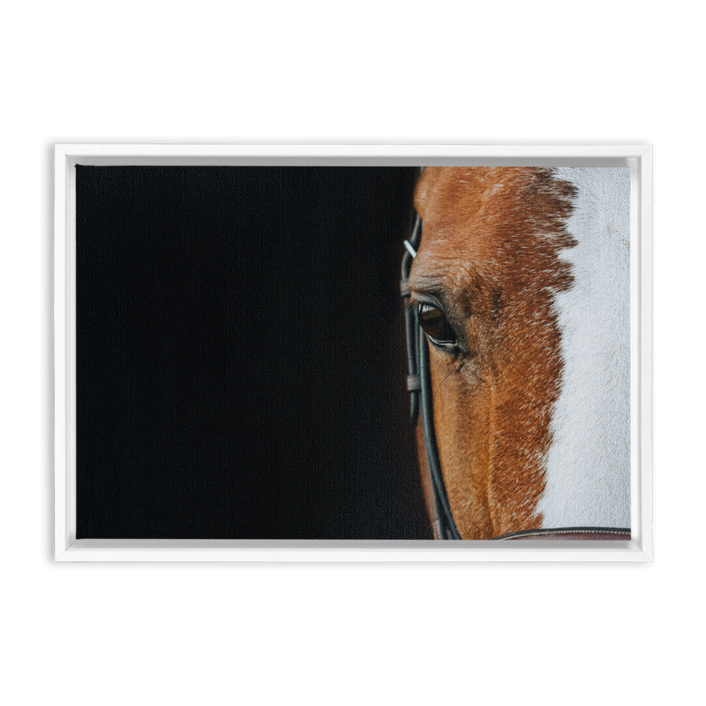 Huntsman Series 5, Framed Canvas