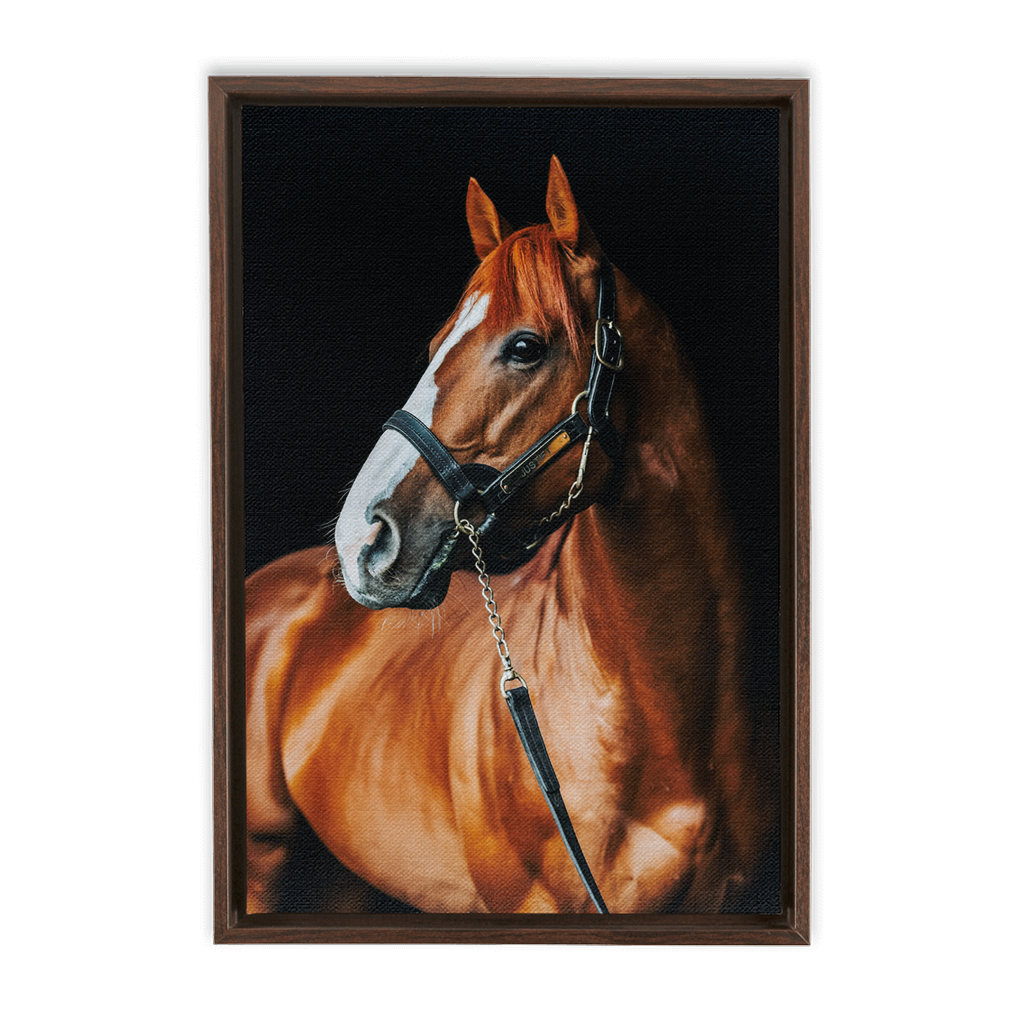 Justify Series 1, Framed Canvas