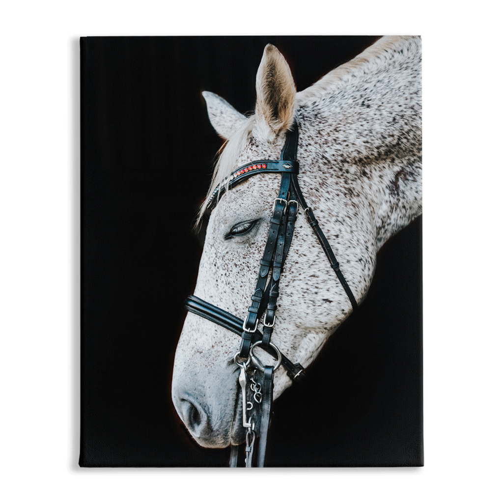 Apollos Series 2, Stretched Canvas