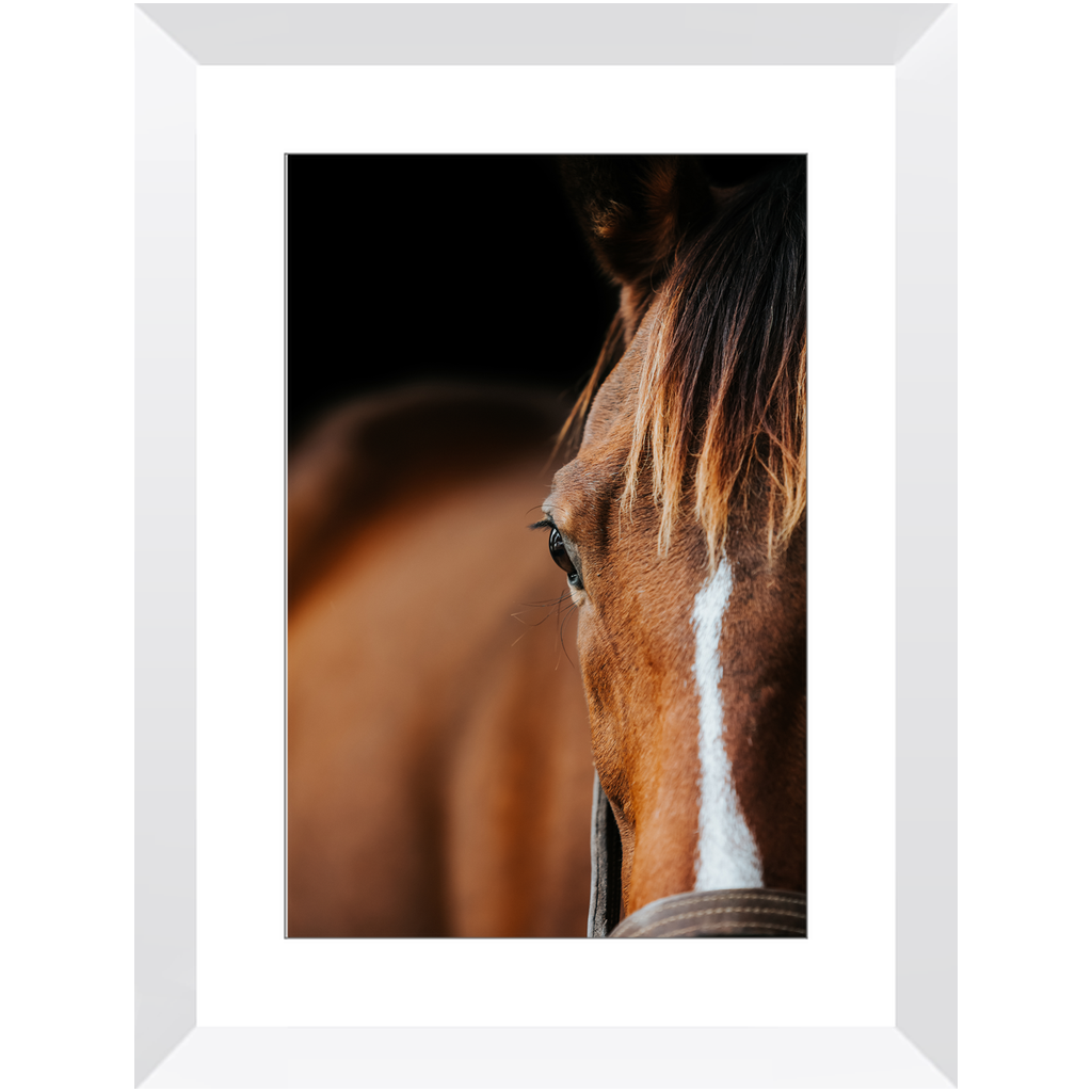 Majestic Series 1, Framed Print