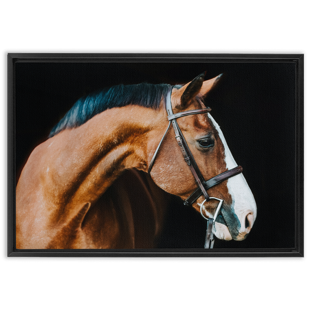 Huntsman Series 3, Framed Canvas