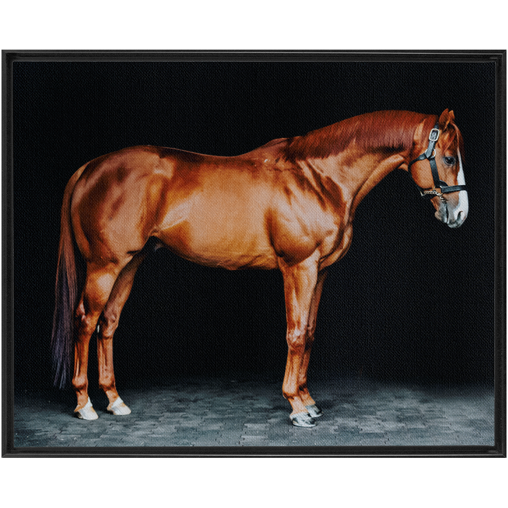 Justify Series 6, Framed Canvas