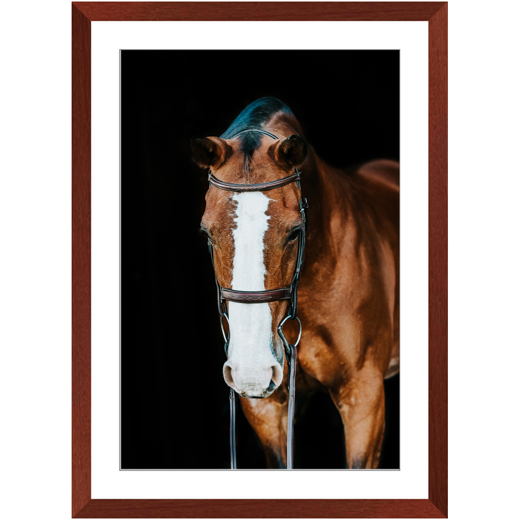 Huntsman Series 6, Framed Print
