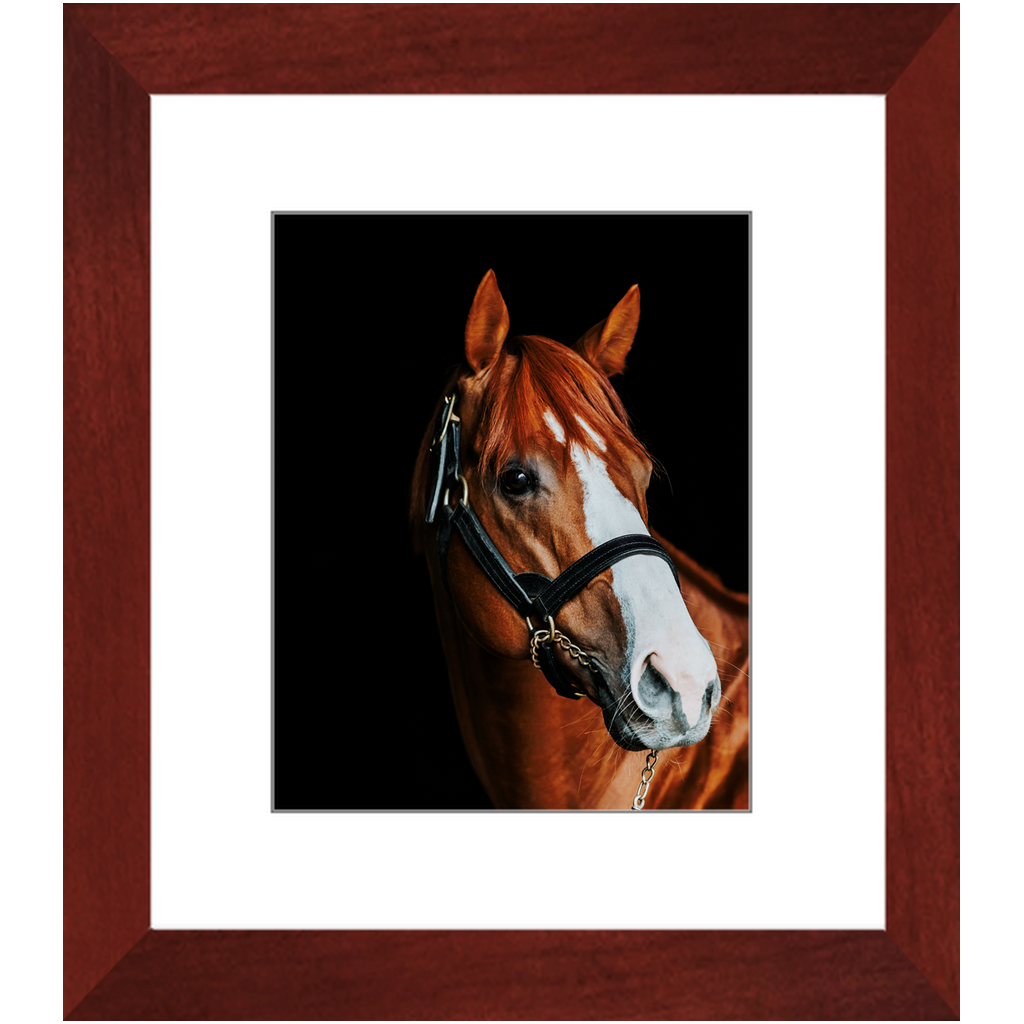 Justify Series 2, Framed Print