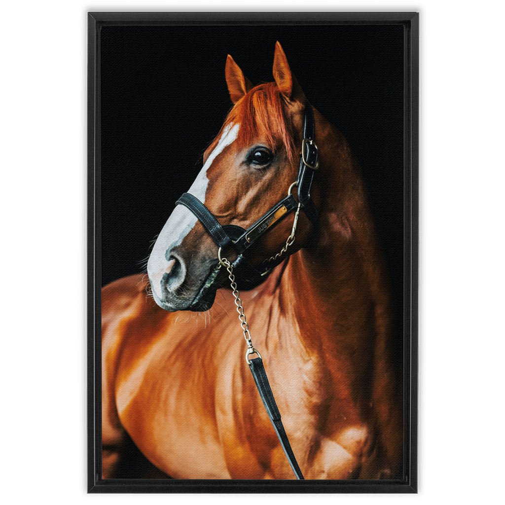 Justify Series 1, Framed Canvas