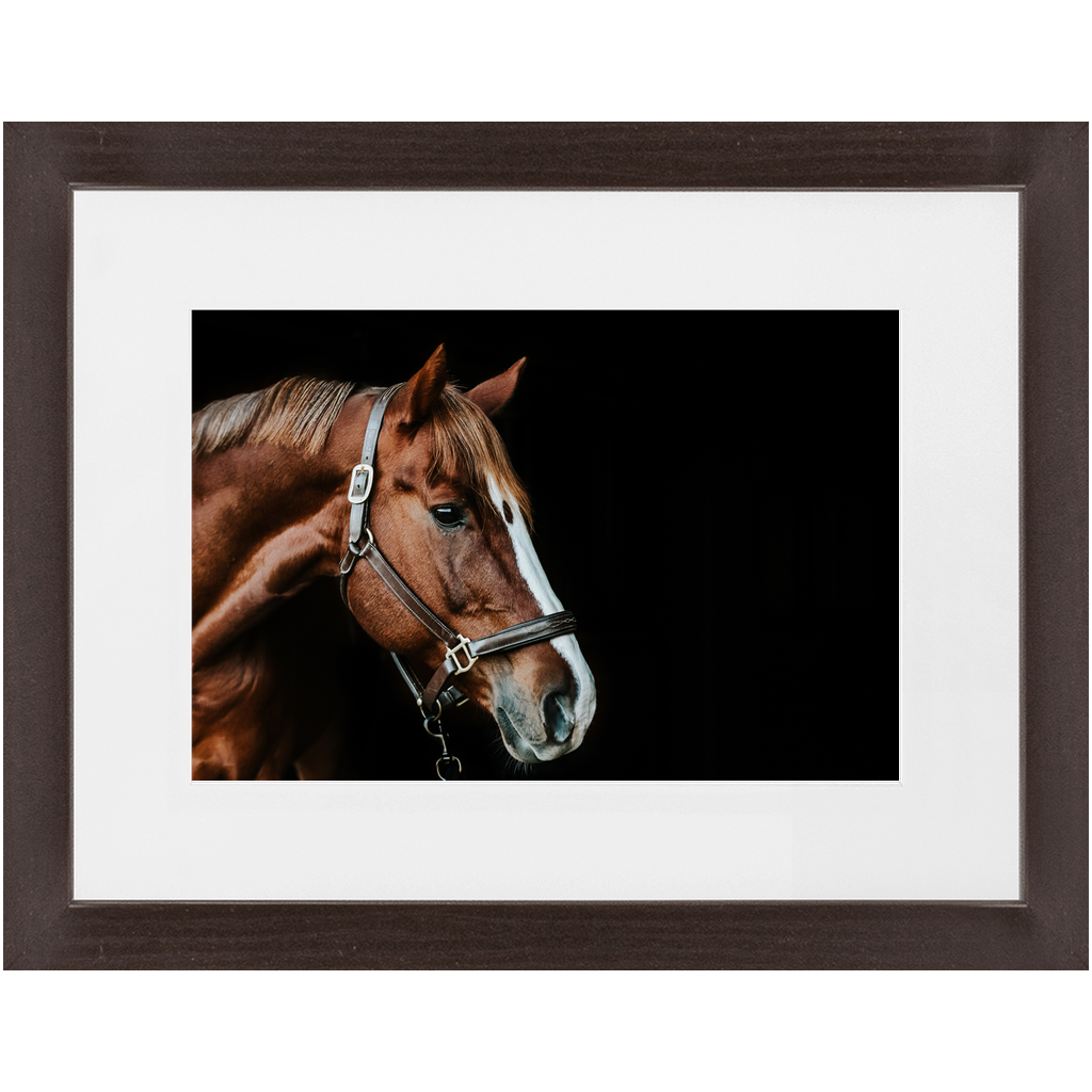 Django Series 5, Framed Print