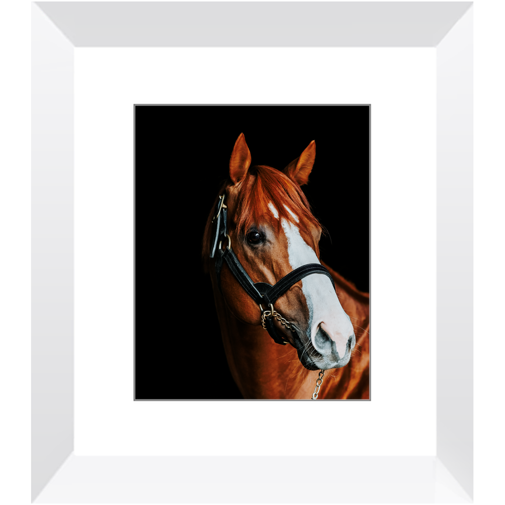 Justify Series 2, Framed Print