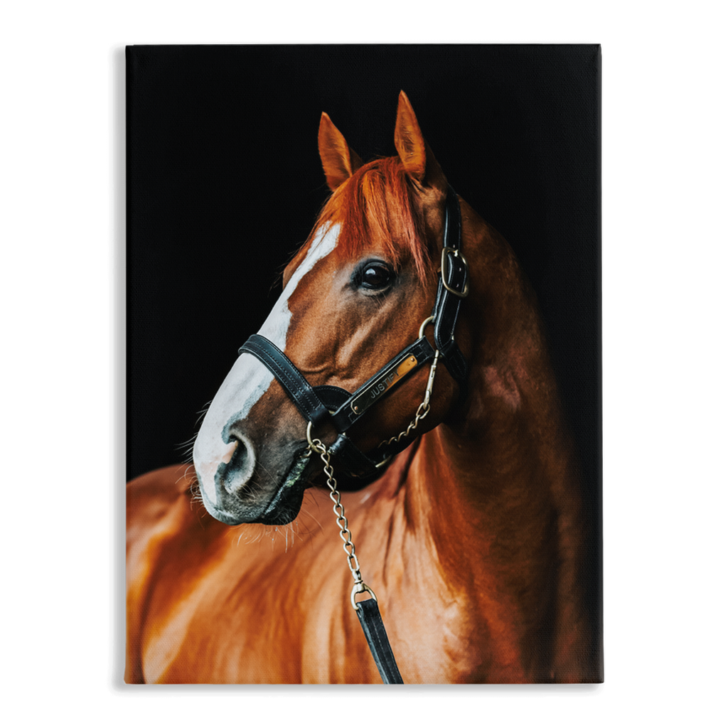 Justify Series 1, Stretched Canvas