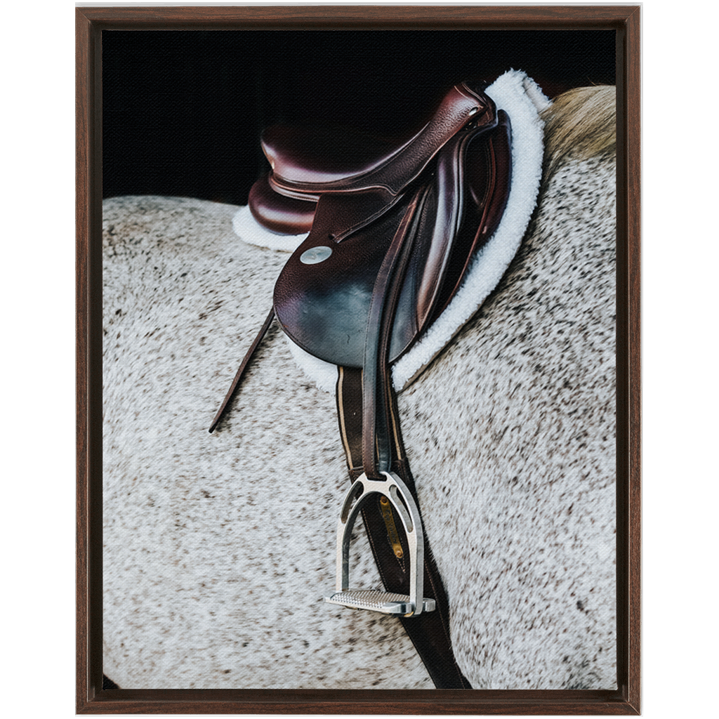 Apollo Series 3, Framed Canvas