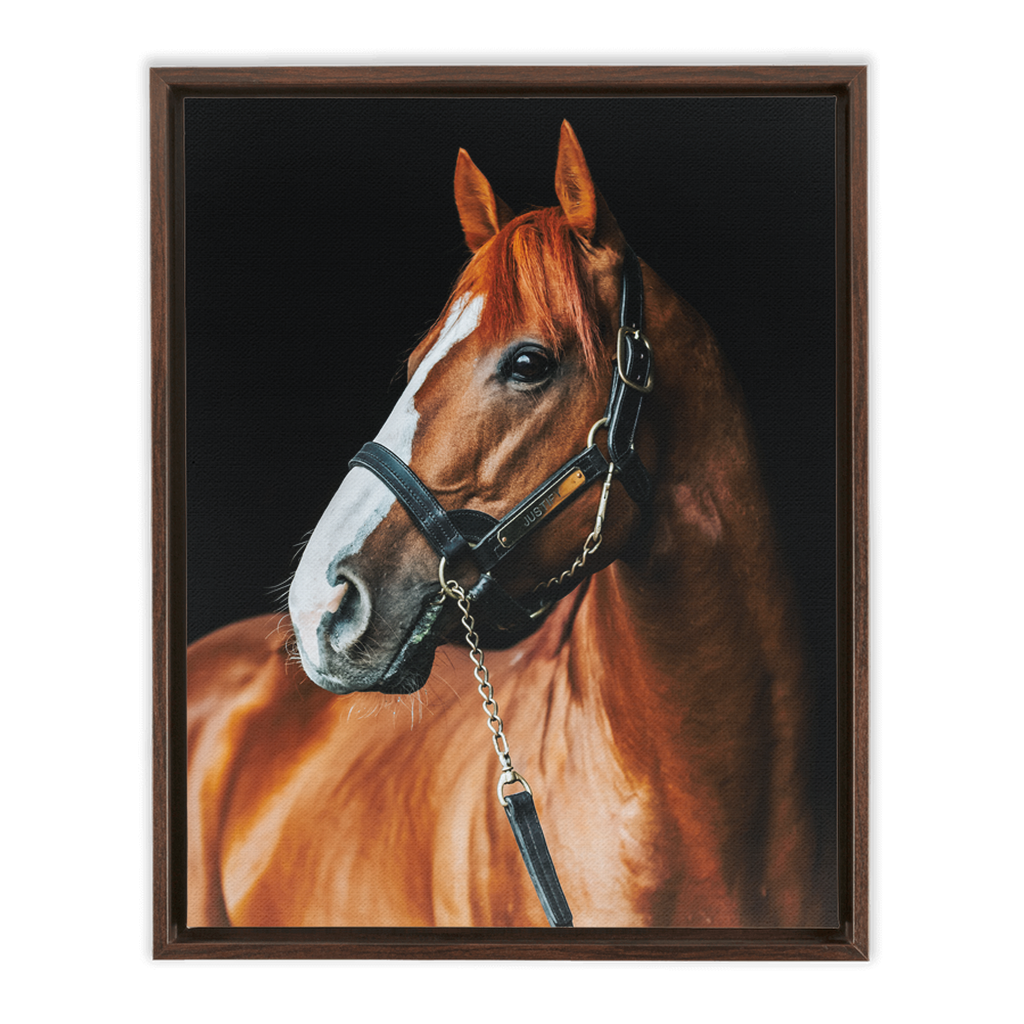 Justify Series 1, Framed Canvas