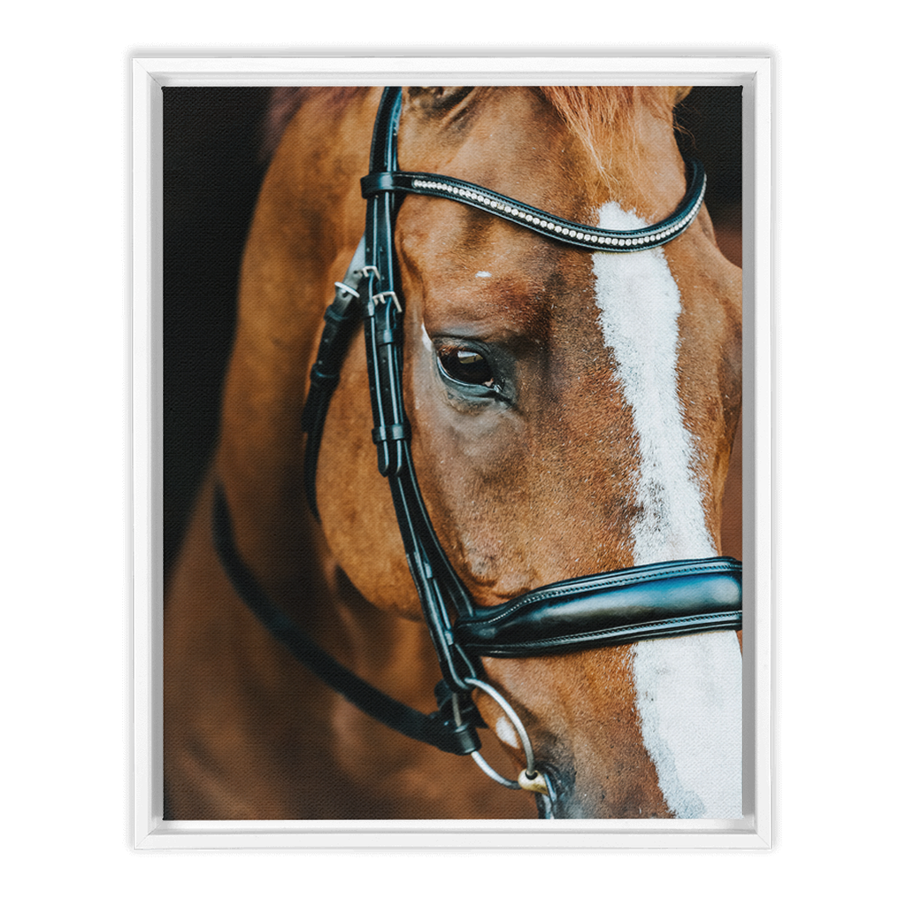 Hudson Series 3, Framed Canvas