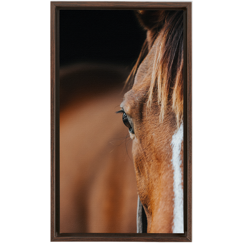 Majestic 1, Framed Canvas