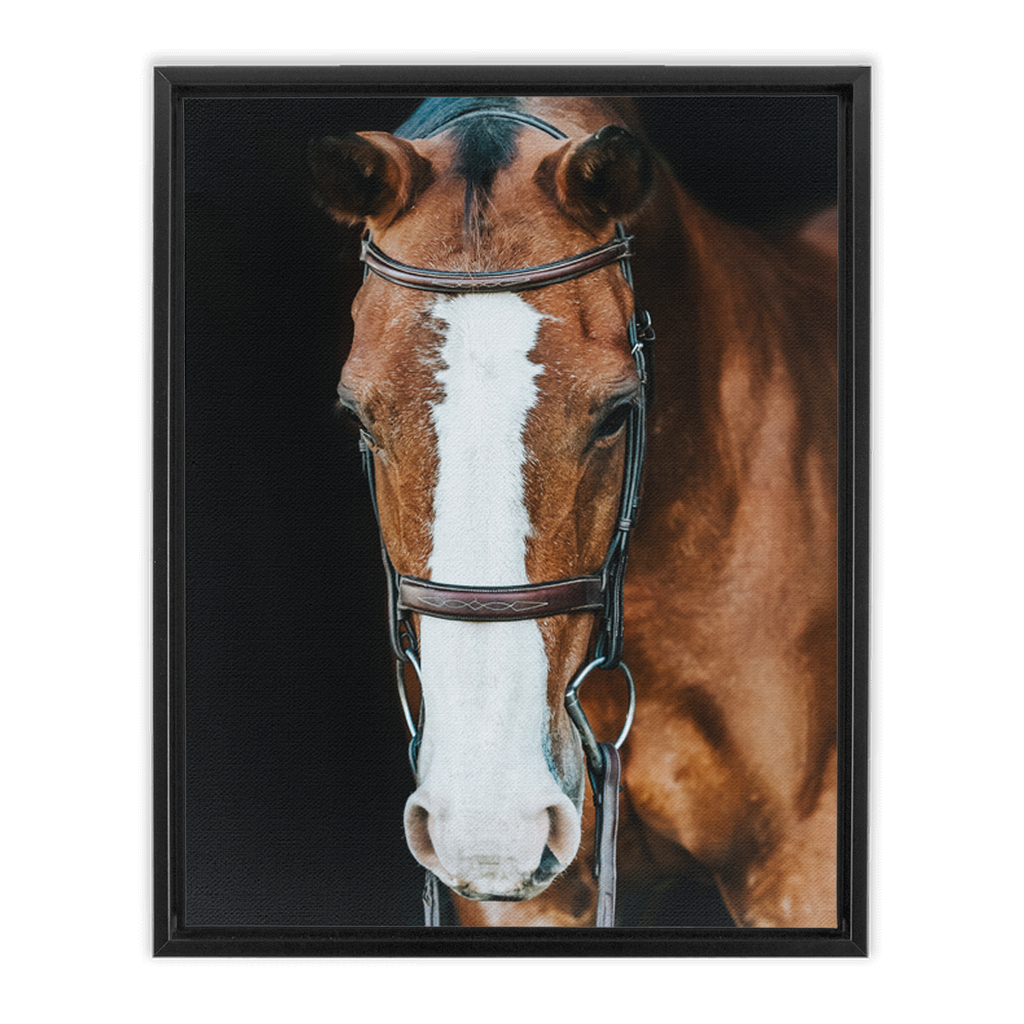 Huntsman Series 6, Framed Canvas