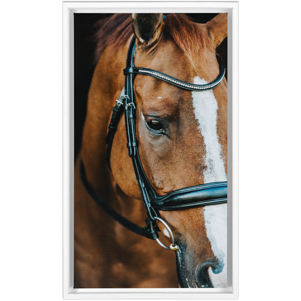 Hudson Series 3, Framed Canvas