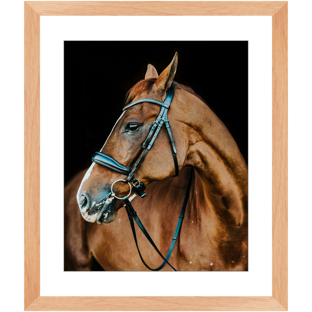 Hudson Series 6, Framed Print
