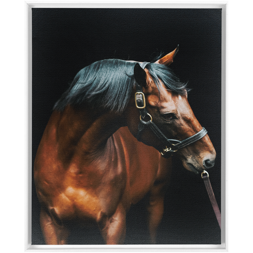 American Pharoah Series 3, Framed Canvas