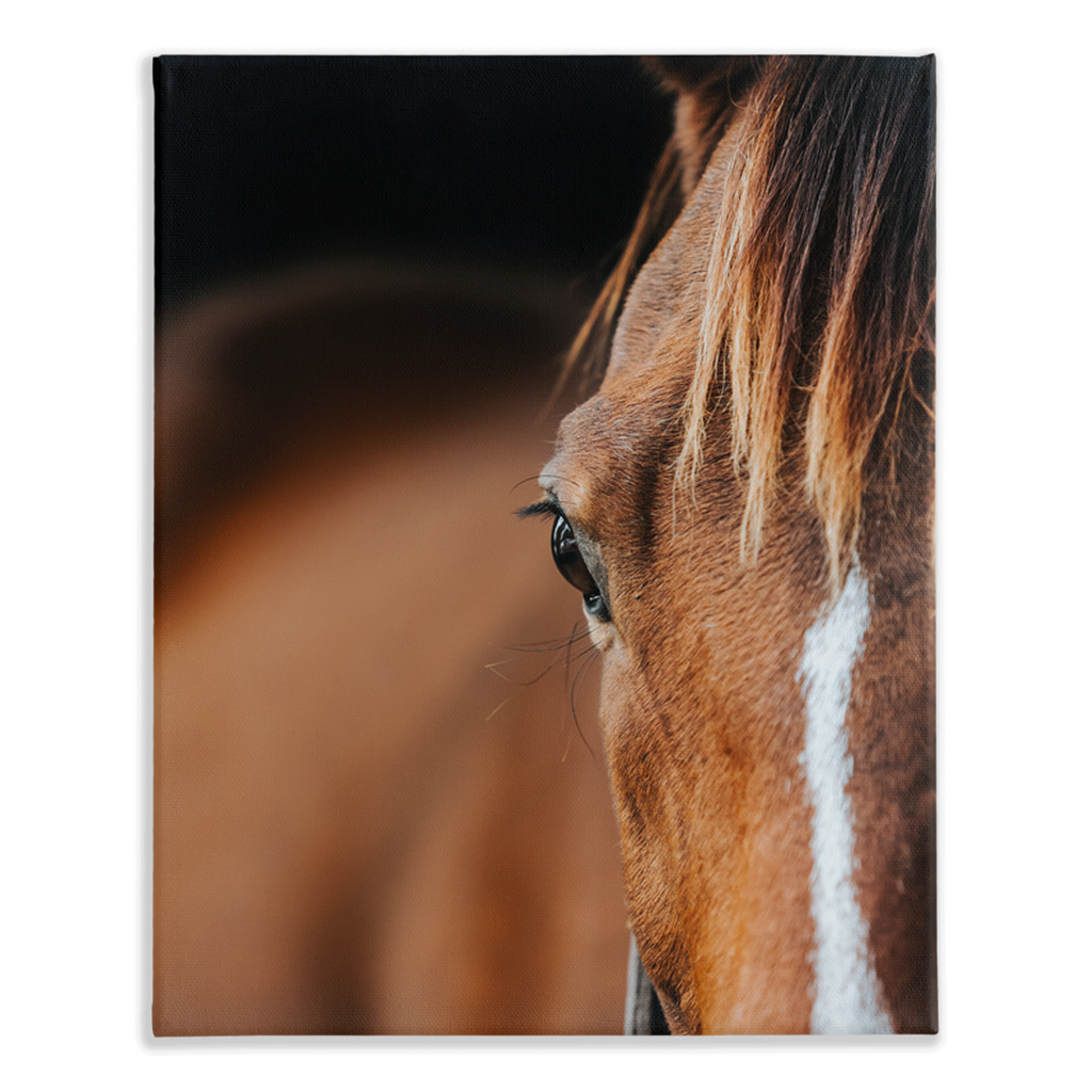 Majestic 1, Stretched Canvas