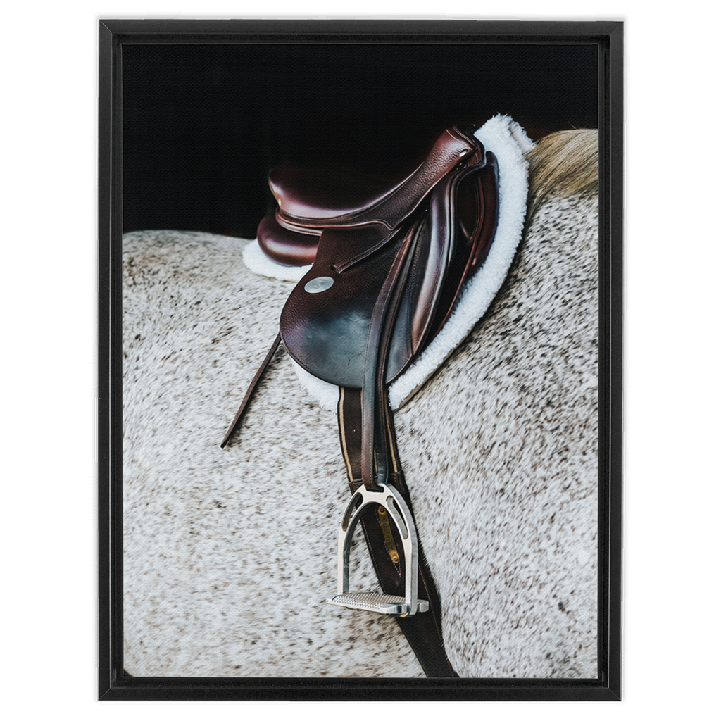 Apollo Series 3, Framed Canvas