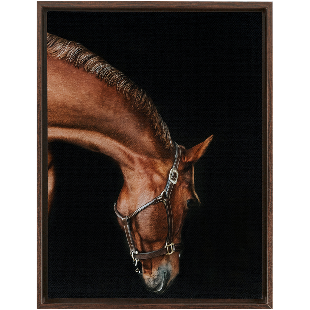 Django Series 6, Framed Canvas