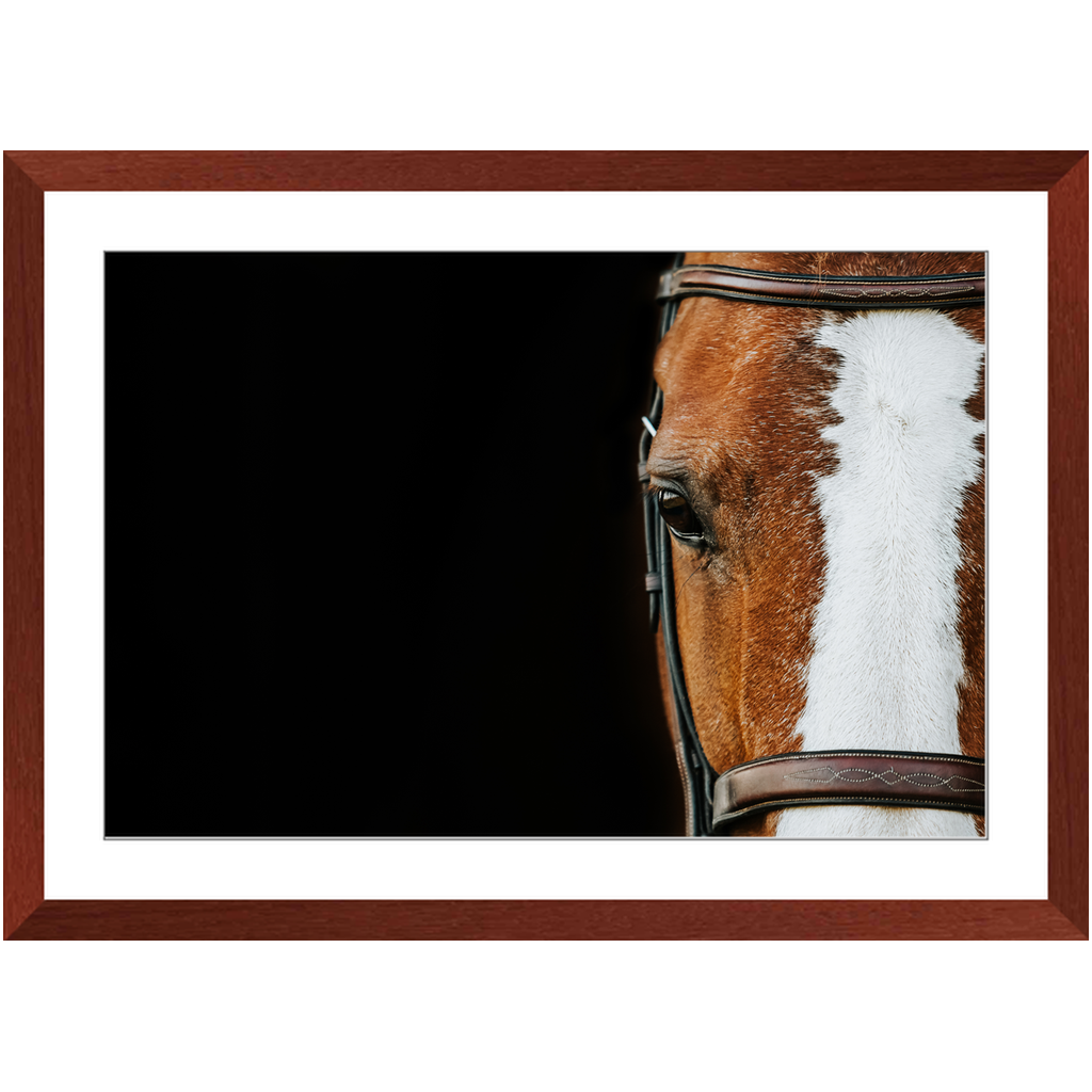 Huntsman Series 5, Framed Print